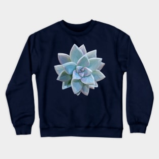 Geometrical Teal Succulent Crewneck Sweatshirt